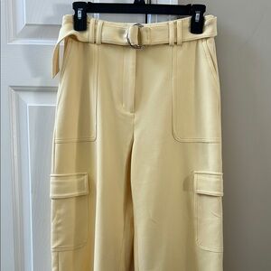 Express yellow Cargo Pants